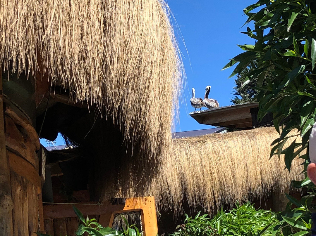 La Laguna旅游攻略图片