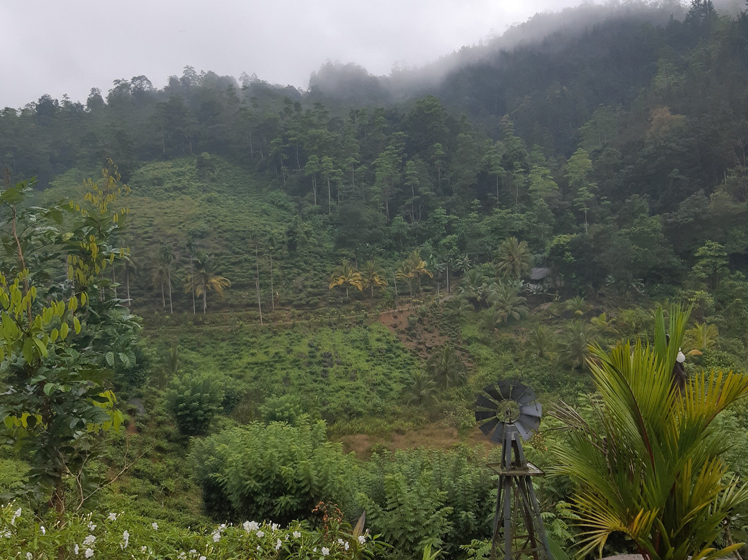 Jansens Bungalow主图