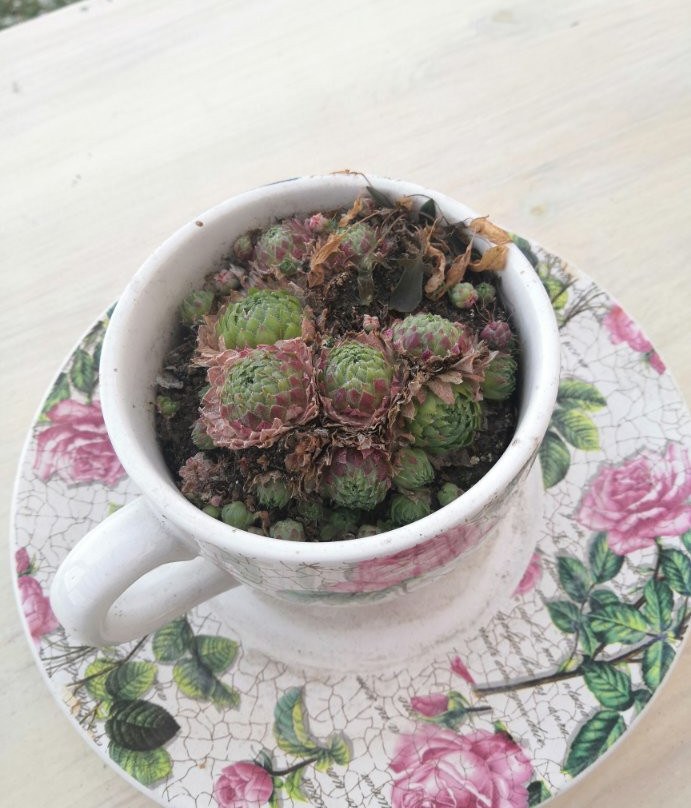 Galereya Guest House主图