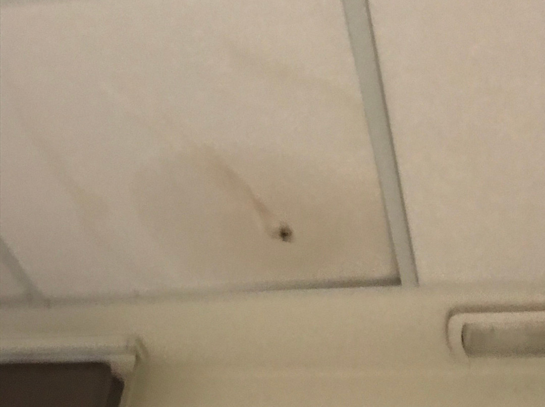 Ciudad de Alcala主图