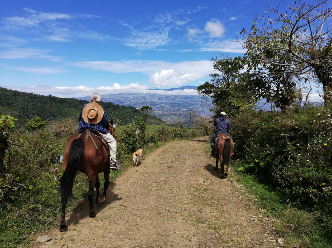 Queveri Horseback Riding Tours景点图片