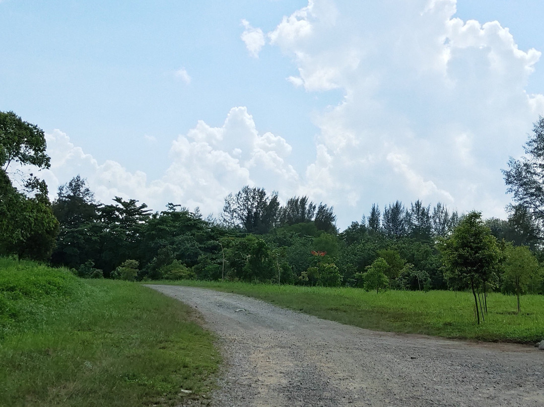 Ketam Mountain Bike Park景点图片