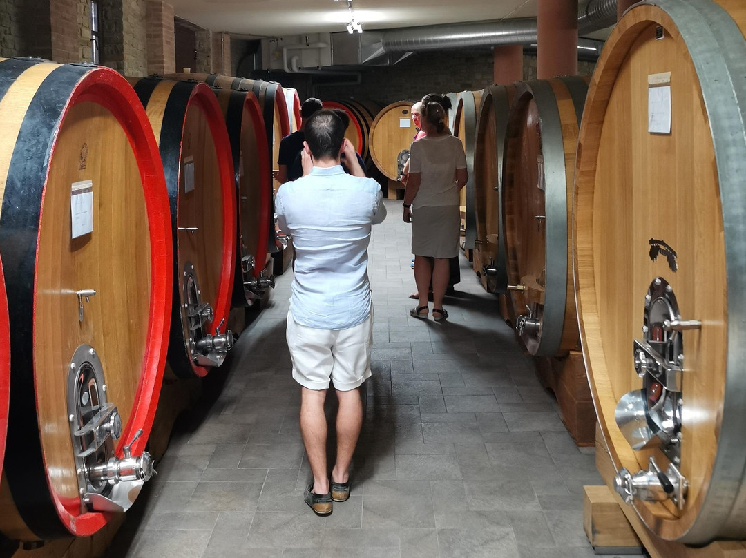 Langa Wine Tour-巴罗洛必去景点
