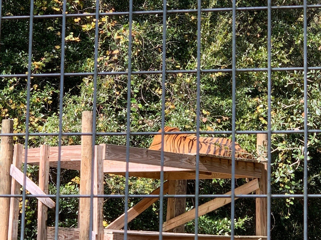 Forest Animal Rescue-Silver Springs必去景点