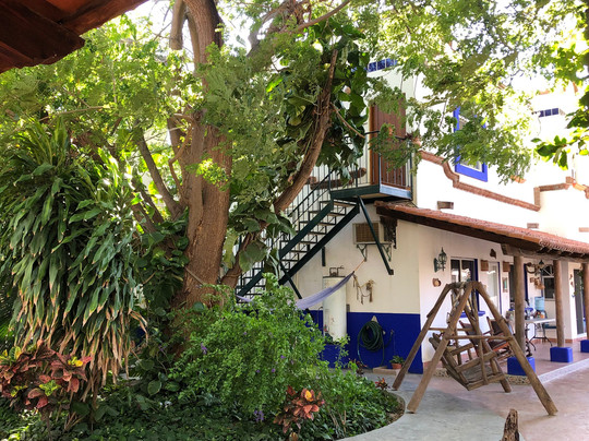 Hacienda Paraiso de La Paz Bed and Breakfast/Inn主图