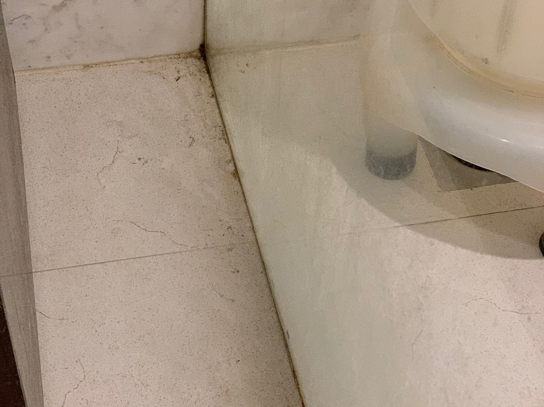 The First Hotel主图