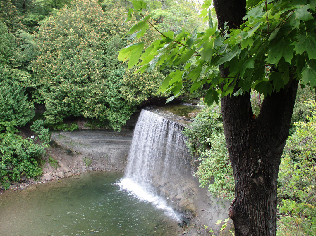 Rockgarden Terrace Resort主图