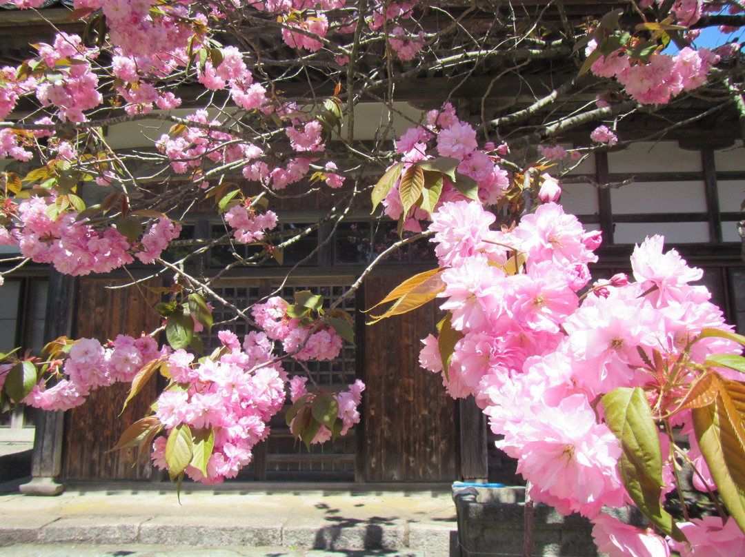Hogenji Temple-松前町必去景点