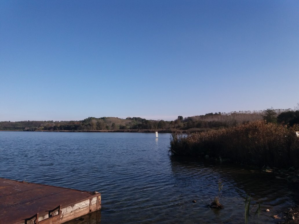 Parco Naturale del Lago di Candia景点图片