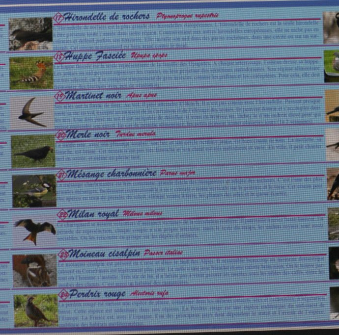 Sentier ornithologique de la Costa Verde景点图片