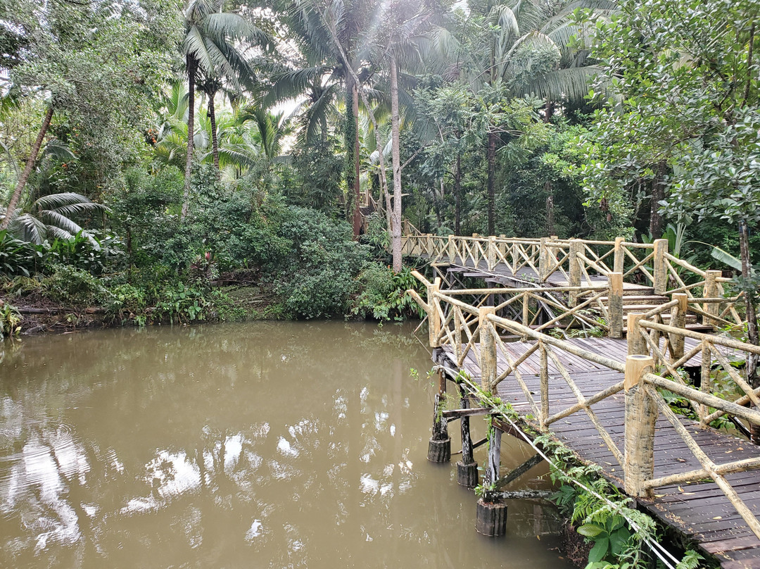 西必洛森林度假村主图