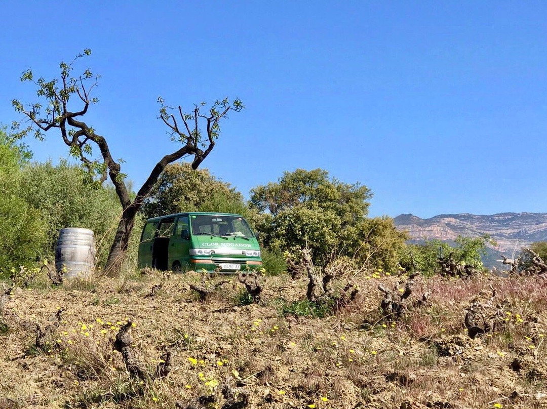 Clos Mogador景点图片