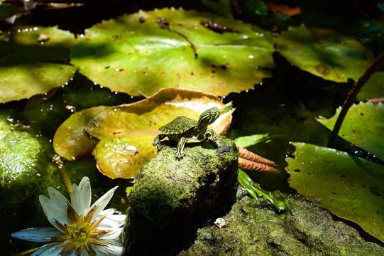 Bicycool-图伦必去景点