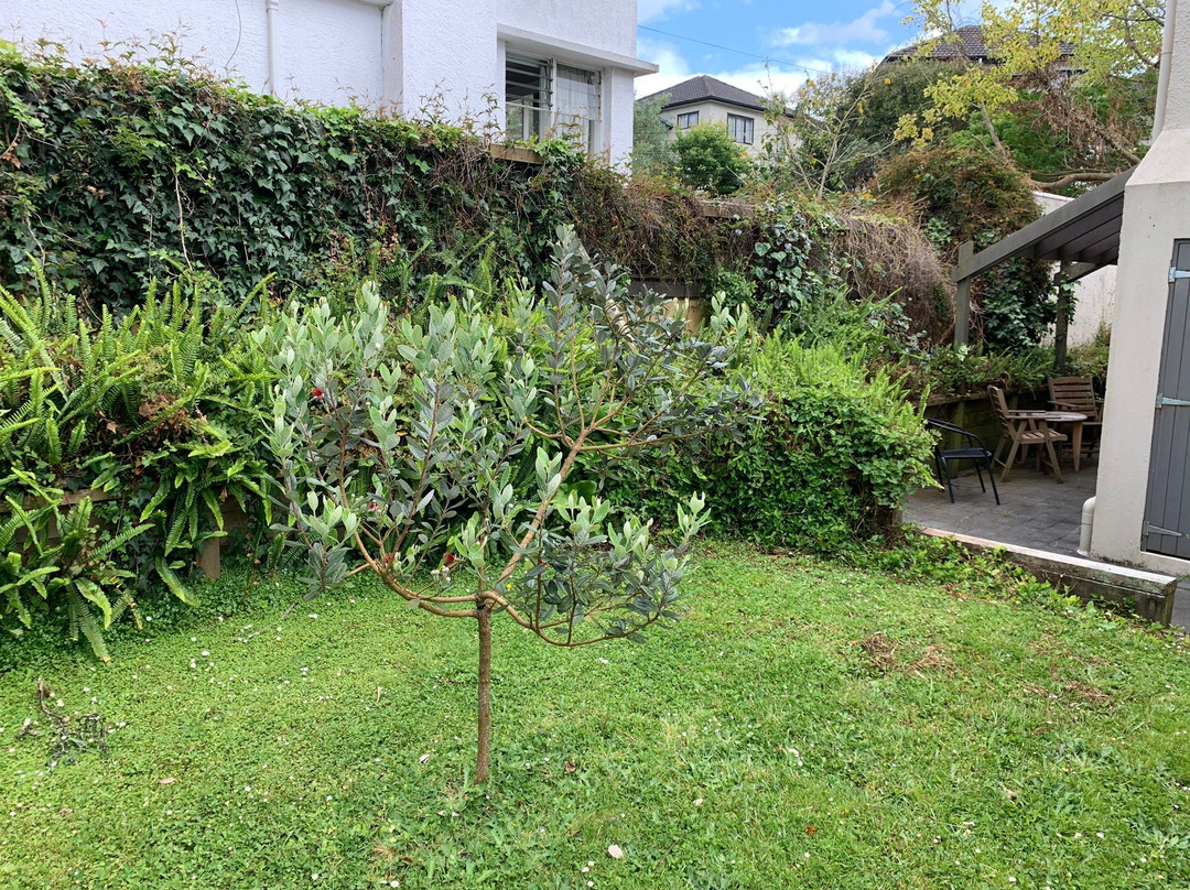 皇家公园小屋酒店主图