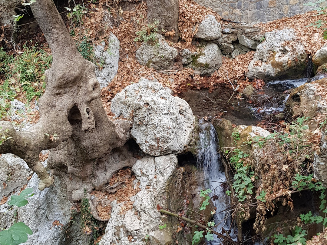 Agia Kyriaki Church-Steni Dirfyos必去景点