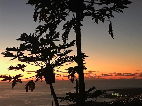 霍卢阿洛阿旅馆主图