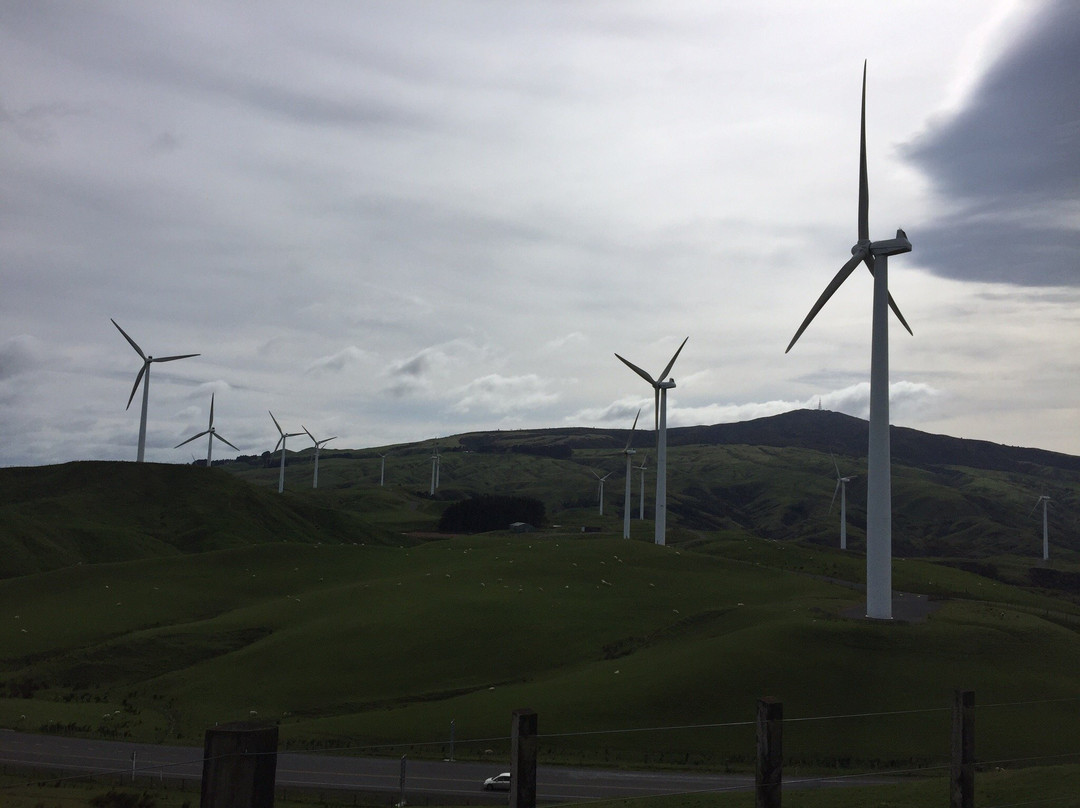 Te Apiti Wind Farm景点图片