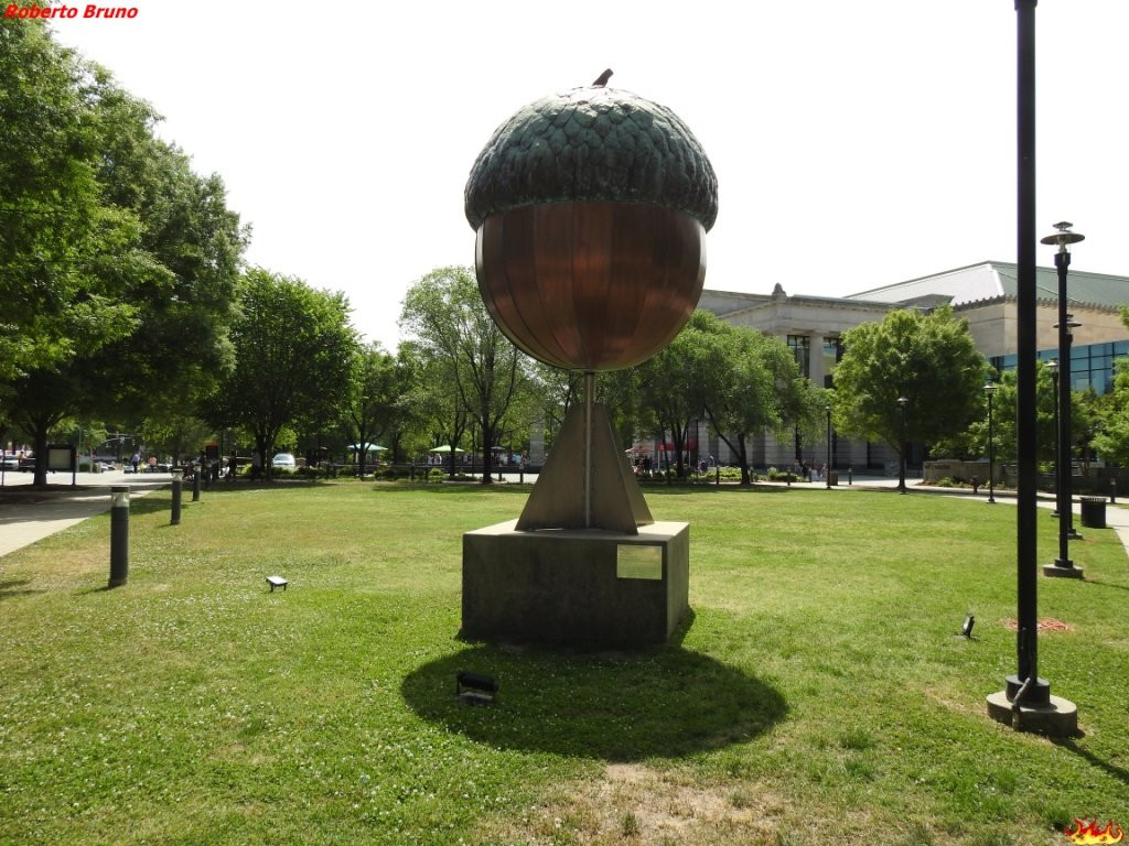 Acorn in Moore Square景点图片