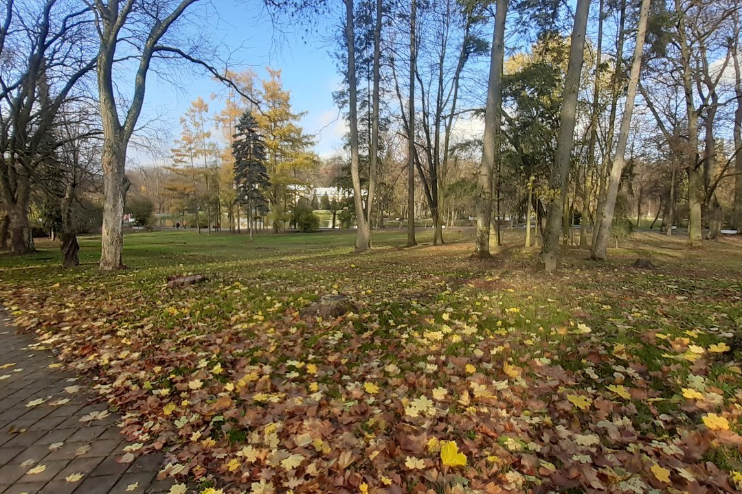 Park Zdrojowy-Naleczow必去景点