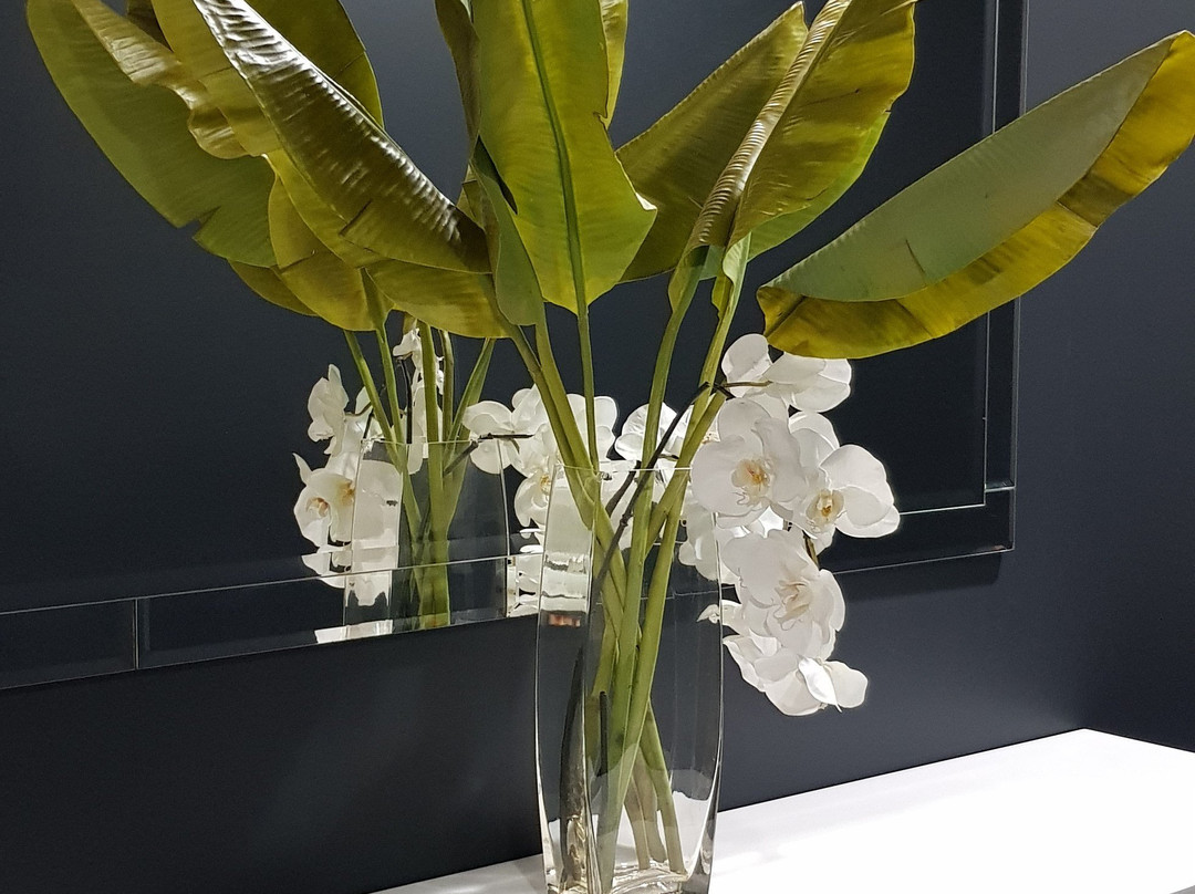 Springfield Lakes Hotel主图