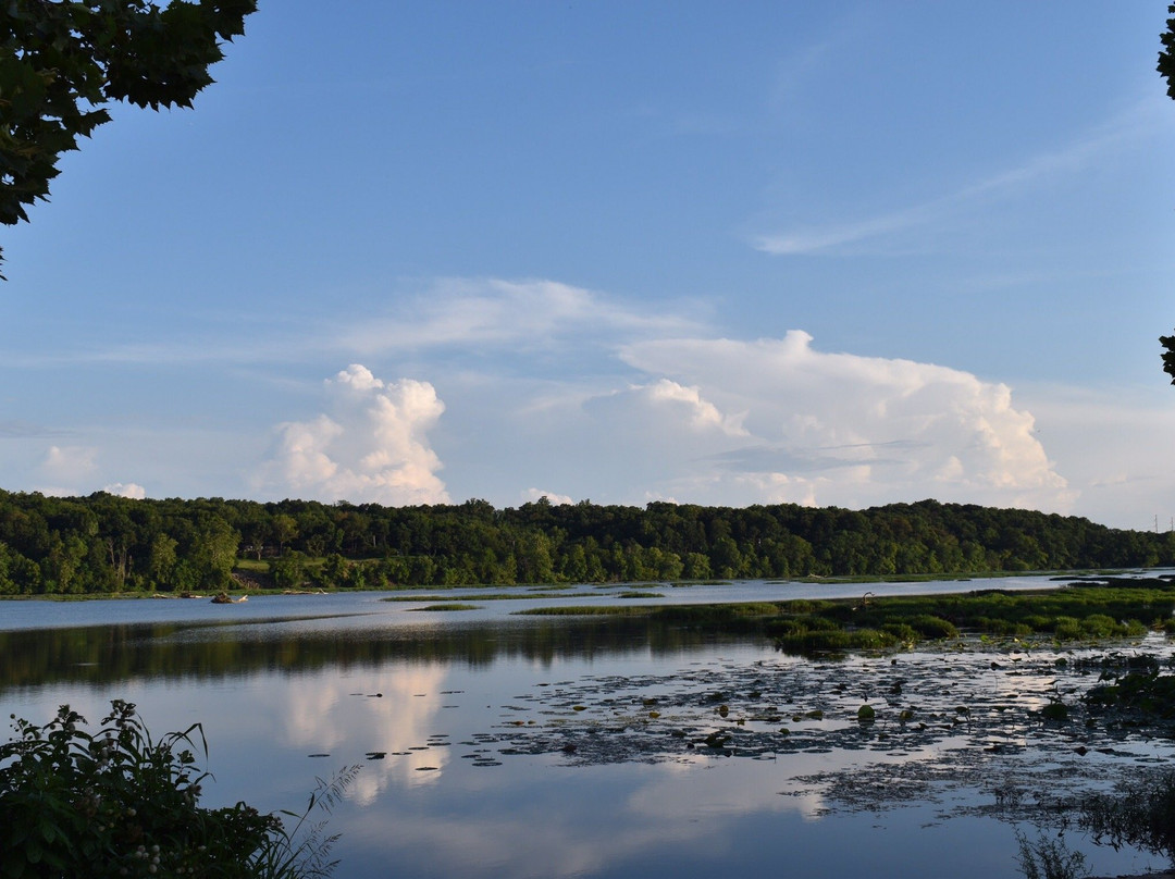 Lake Springfield Park, Boathouse and Marina-斯普林菲尔德必去景点