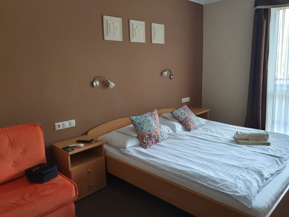 Alfa Hotel and Wellness Center主图