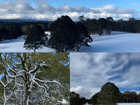 Mckeown's Rest Farmstay At Kenzell Farm主图