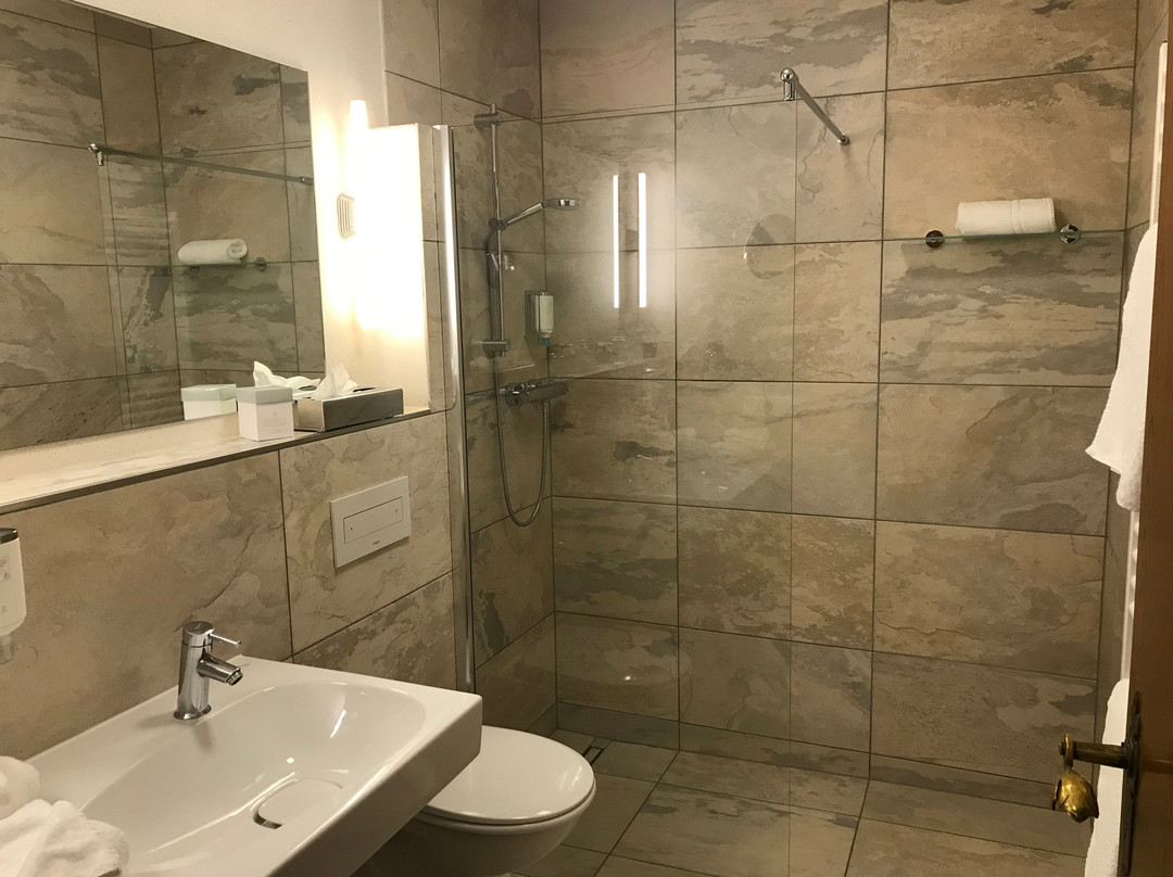 Romantikhotel Platte主图