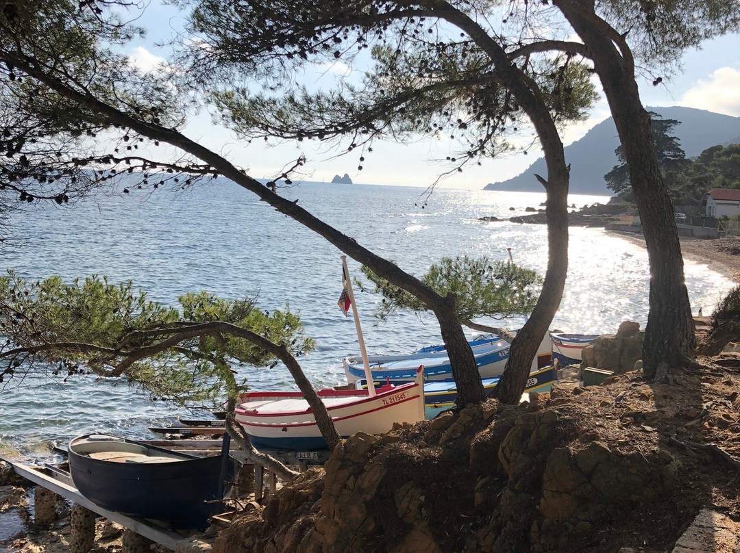 Plage de la Verne景点图片