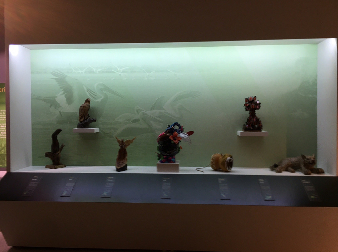 Munpuma Museo Nacional Pueblos Mágicos景点图片