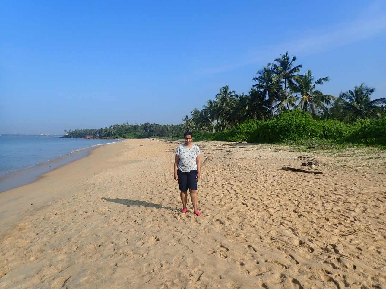 The Malabar Beach Resort and Ayurvedic Spa-泳池