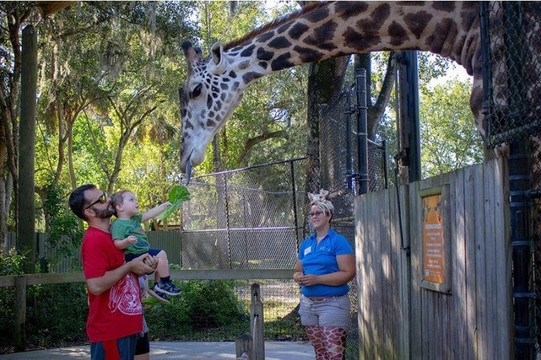 Florida Gateway Tours-奥兰多必去景点