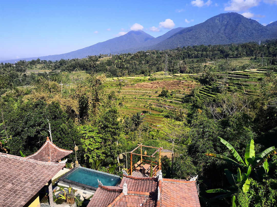 Pondok Nyoman Bedugul by Agata主图