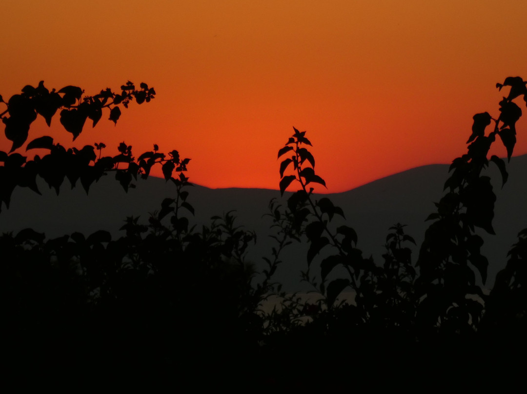 Rastoni Hotel Aegina主图