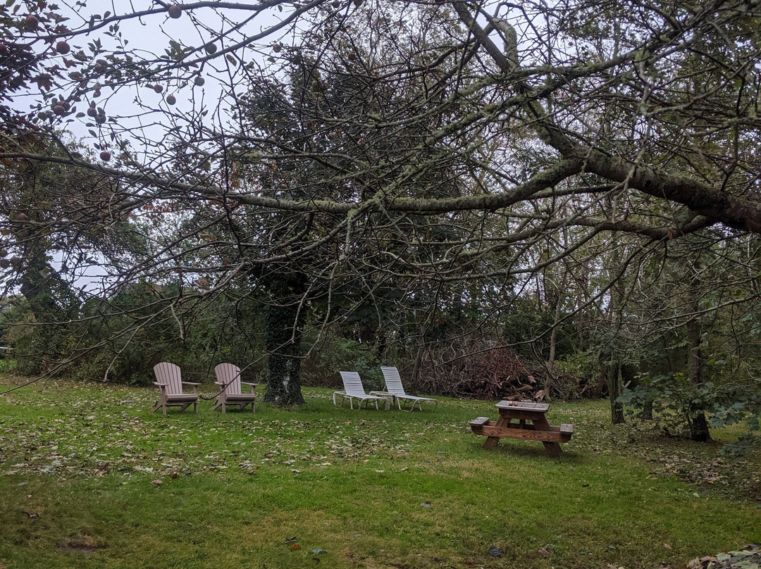 Nauset House Inn主图