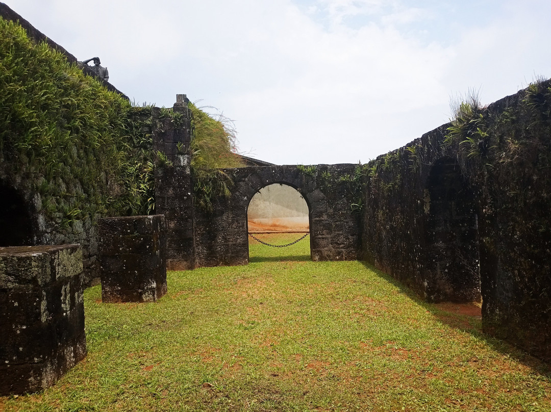 Armas Historicas Ferreira da Cunha Museum景点图片