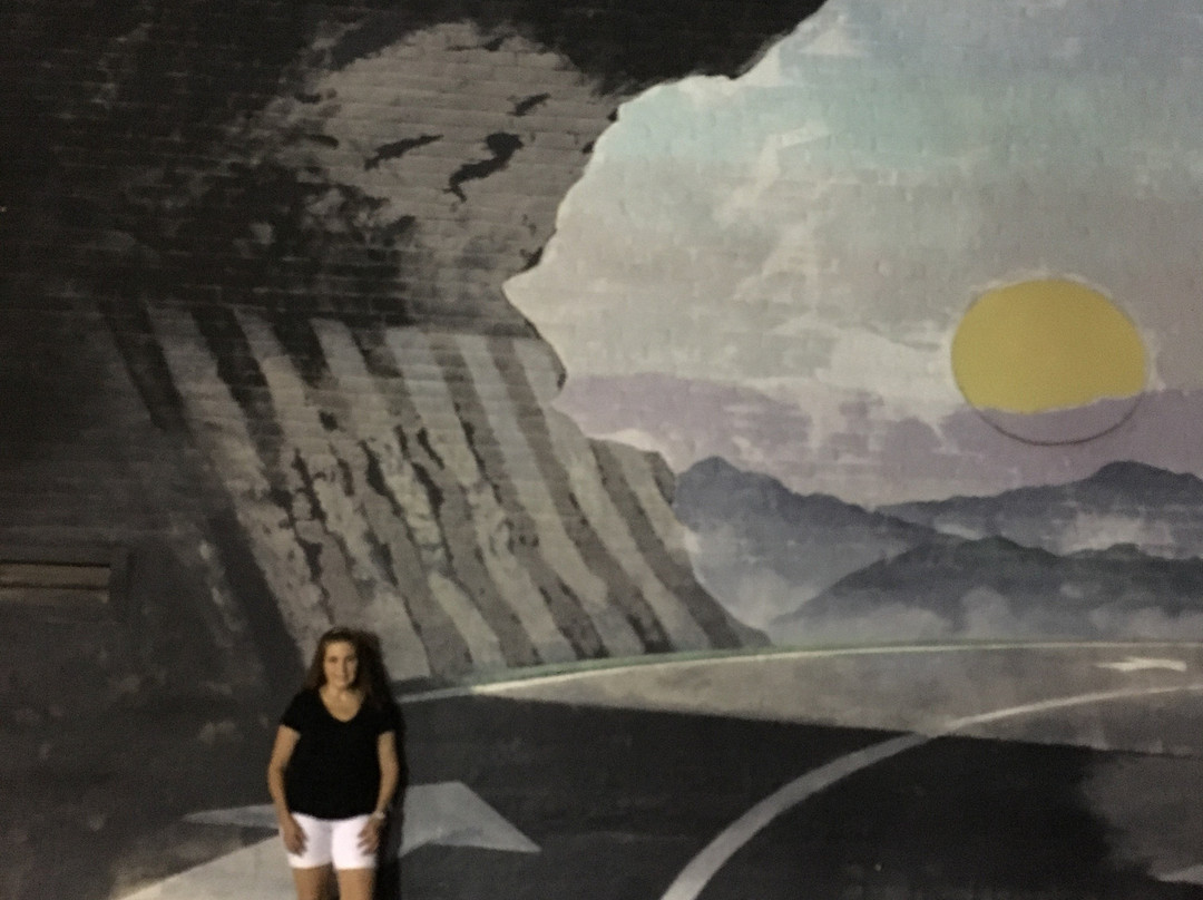 Tunnel Vision Mural-哥伦比亚必去景点