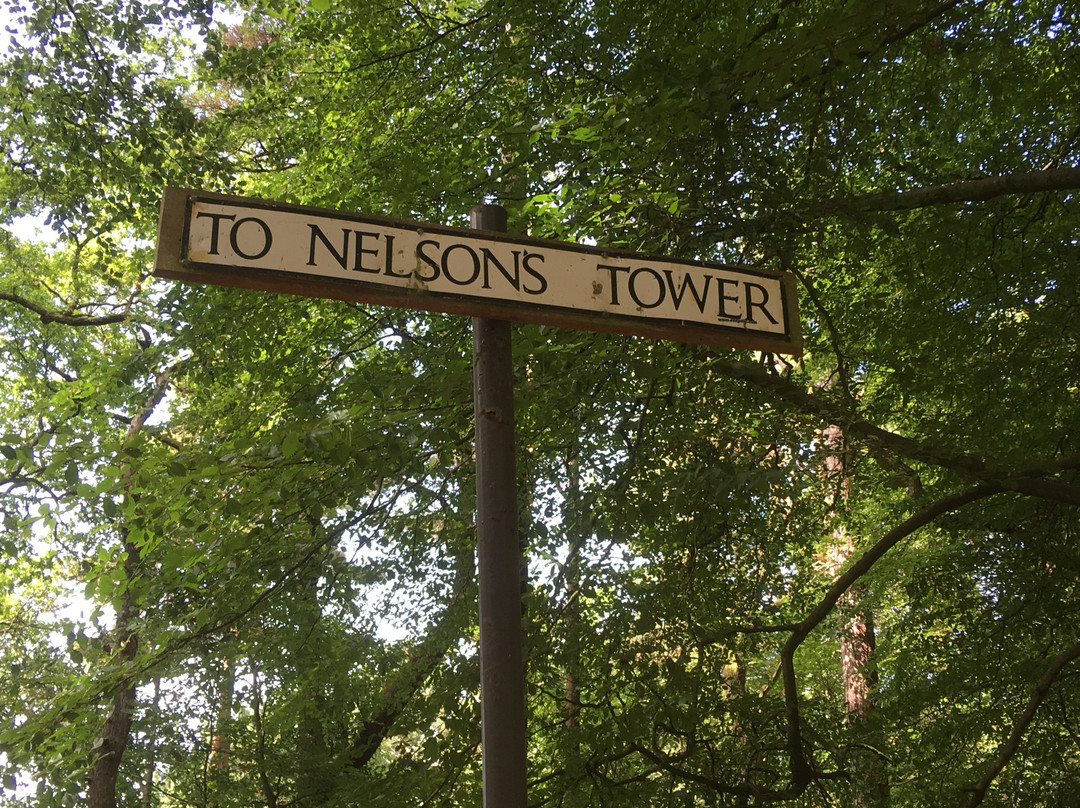 The Nelson Tower-福里斯必去景点