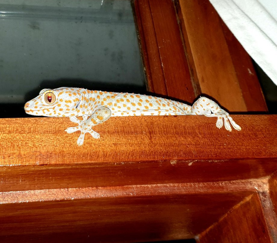 海之梦度假酒店主图