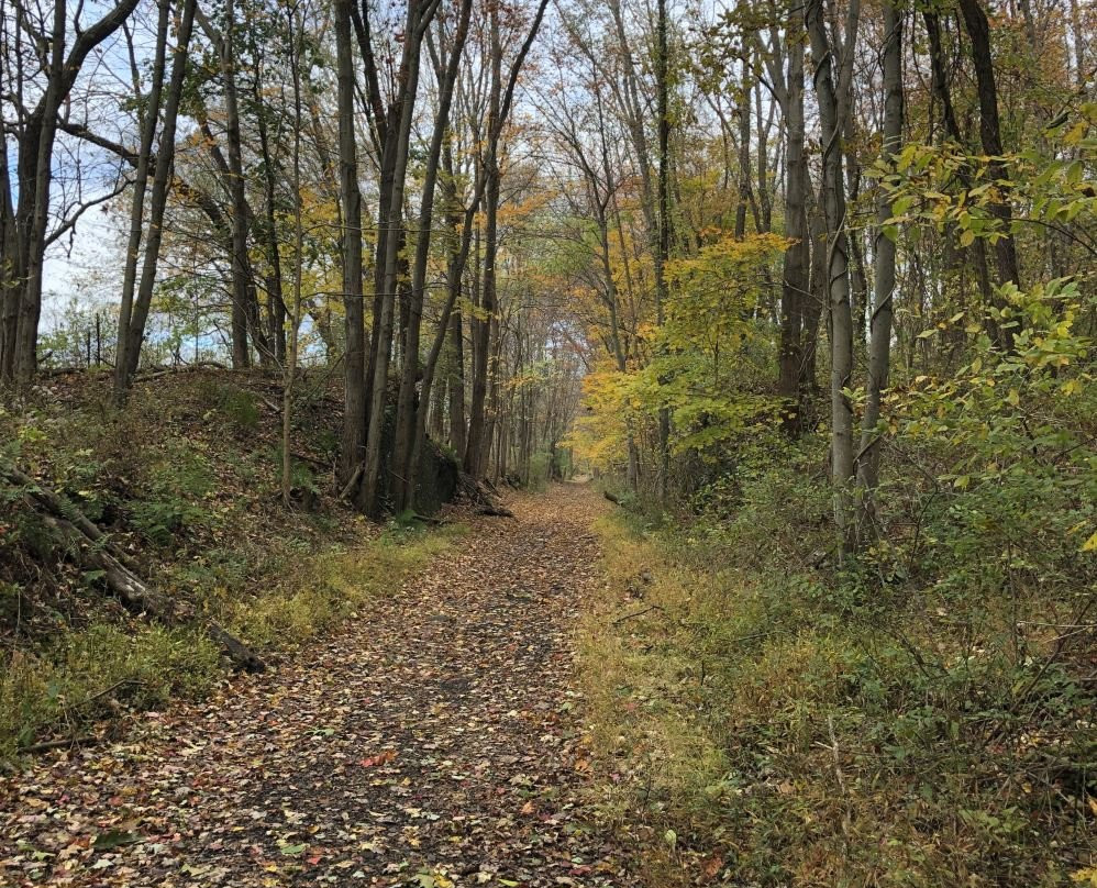 Lake Hopatcong Adventure Company景点图片