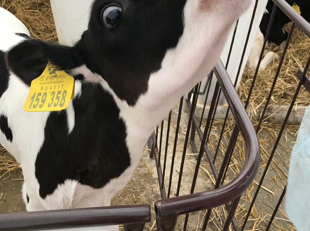 Academy of Dairy Science景点图片