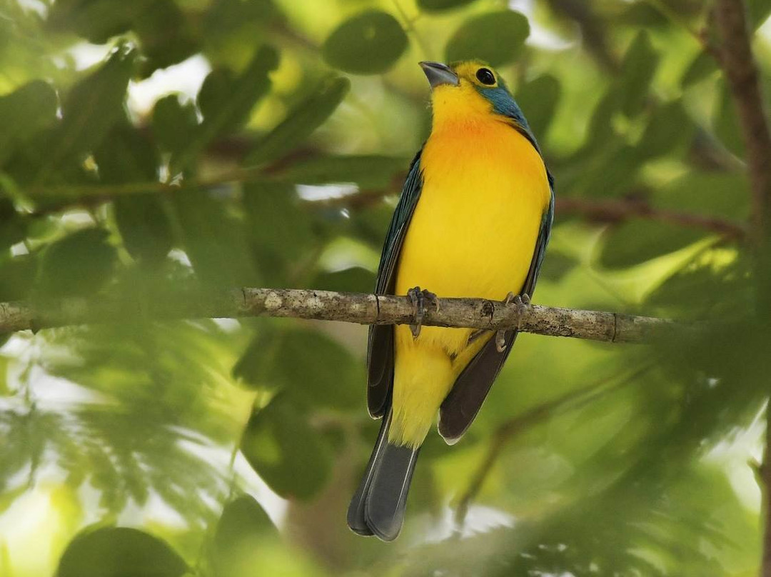 Huatulco National Park-瓦图尔科必去景点