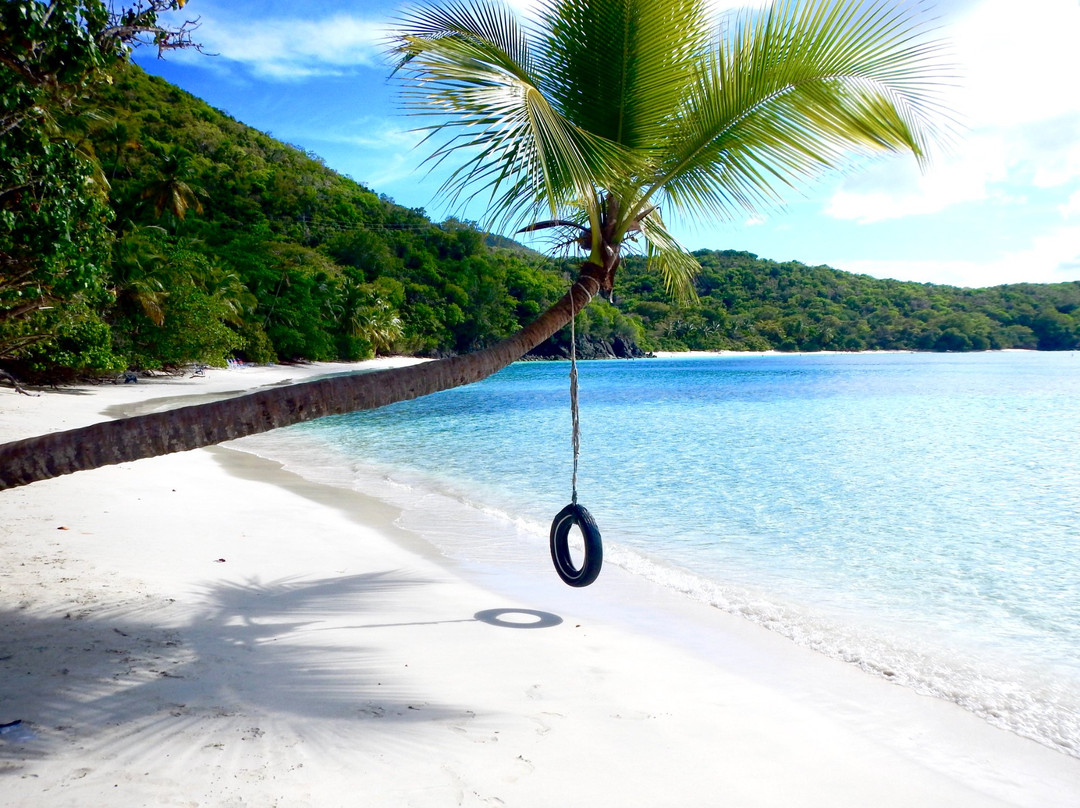 Gibney Beach-圣约翰必去景点