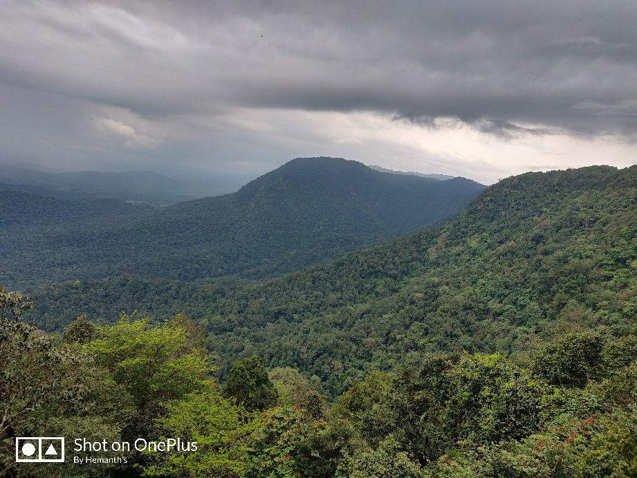 Agumbe Ghat景点图片