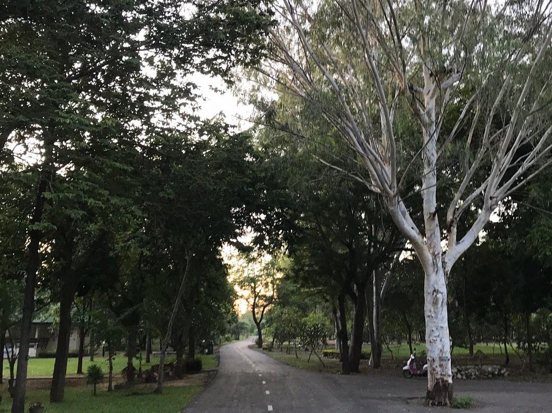 Cha-am Forest Park景点图片