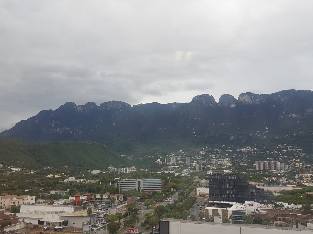 NH Collection Monterrey San Pedro主图