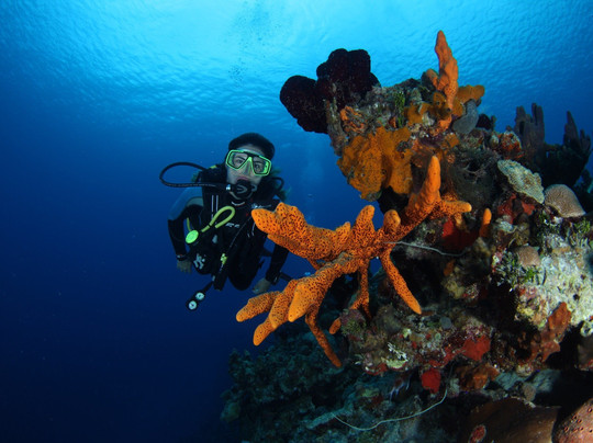 Atlantis Varadero-巴拉德罗必去景点