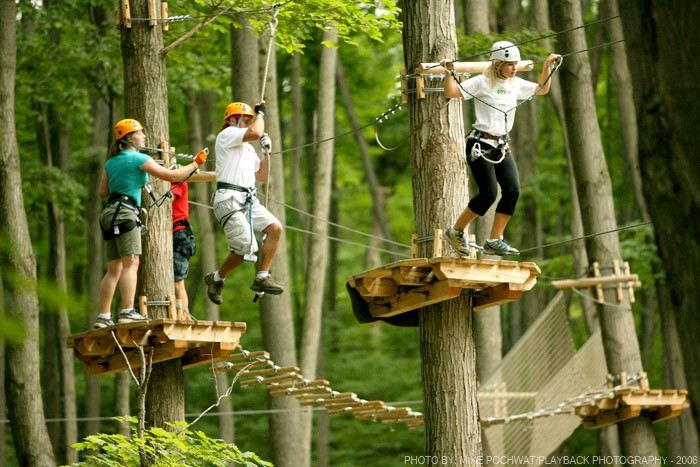 Treetop Trekking-Barrie景点图片