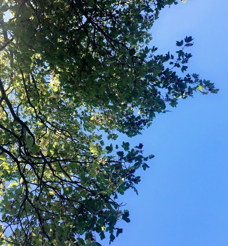 Parc Le Grand Large-Meyzieu必去景点