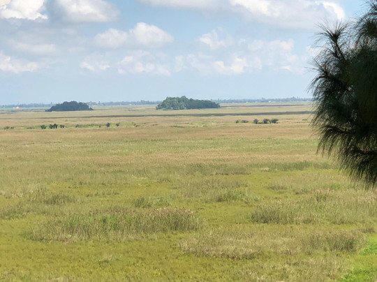Keibul Lamjao National Park-Bishnupur District必去景点